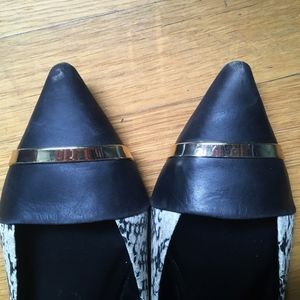 ALDO Pointed Toe Flats